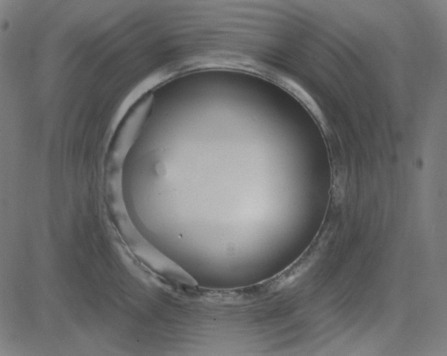 X0000084601146200703091922