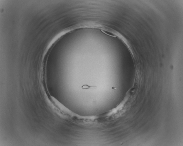 X0000084601147200703091922