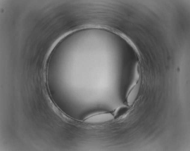 X0000084601148200703091922