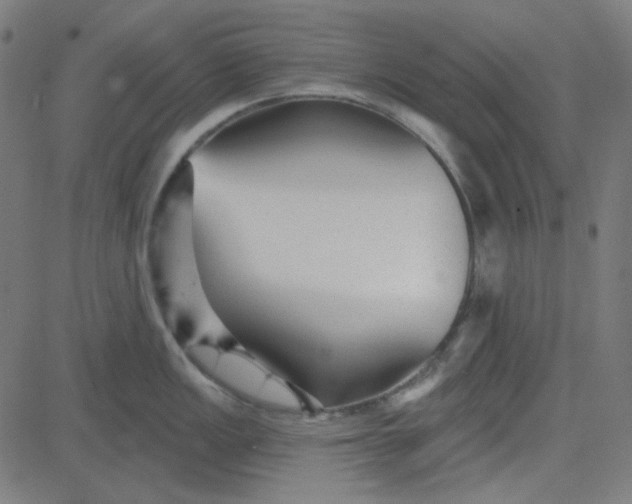 X0000084601149200703091922