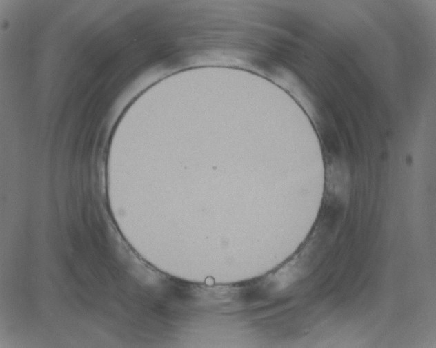 X0000084601150200703091922