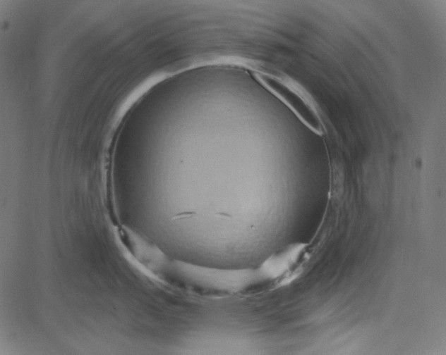 X0000084601151200703091922