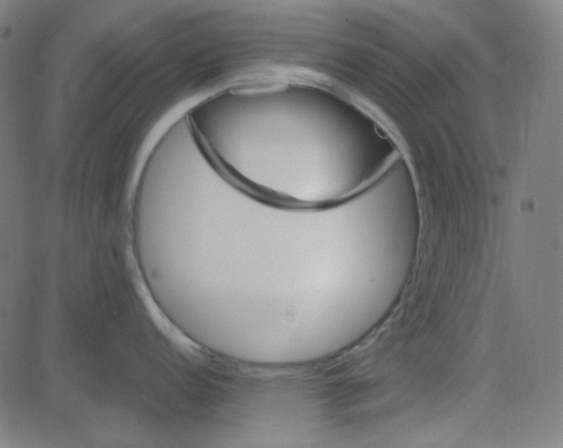 X0000084601152200703091922