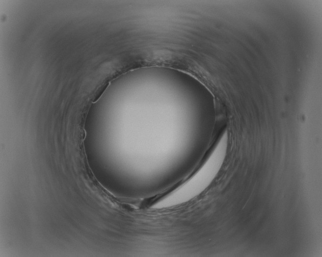 X0000084601153200703091921