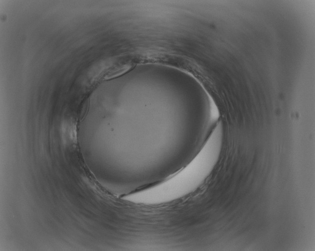 X0000084601155200703091921