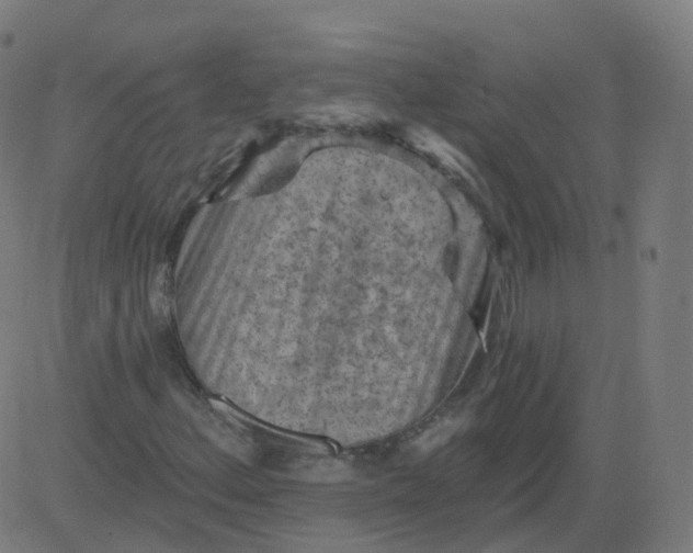 X0000084601156200703091921