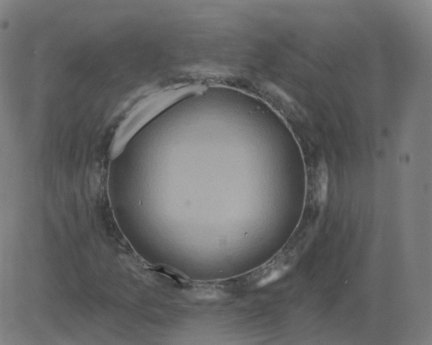 X0000084601157200703091921