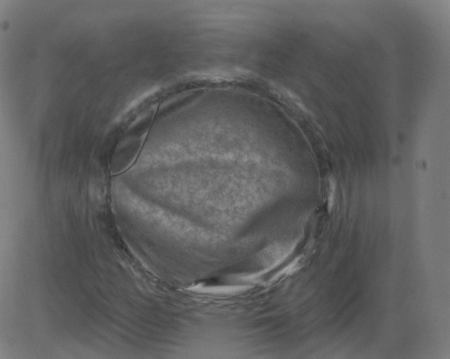 X0000084601158200703091921