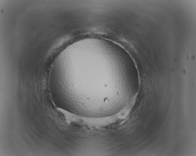 X0000084601159200703091921