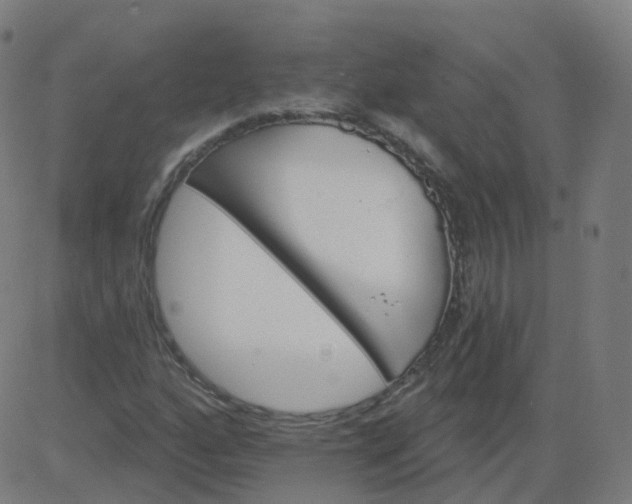 X0000084601160200703091921