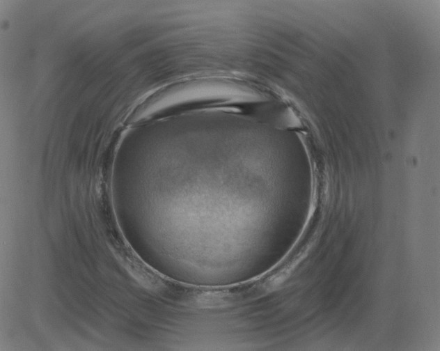 X0000084601161200703091921