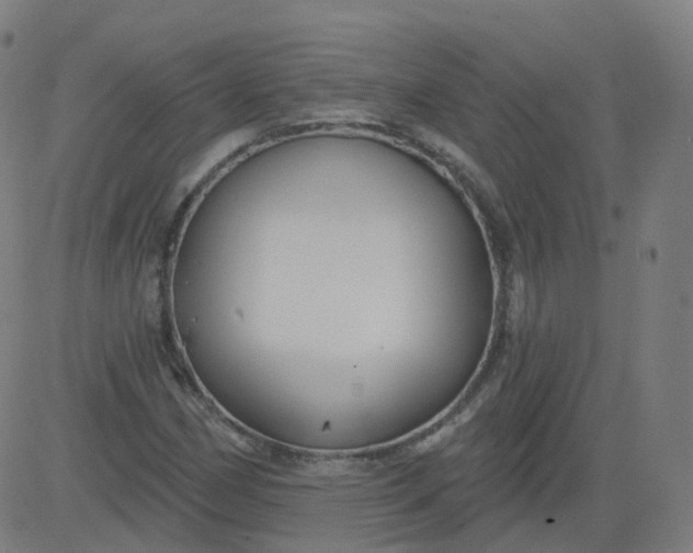 X0000084601162200703091921