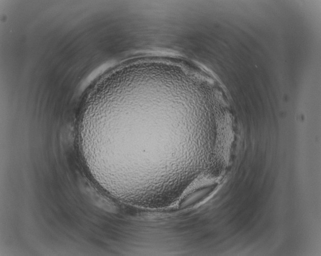 X0000084601163200703091921