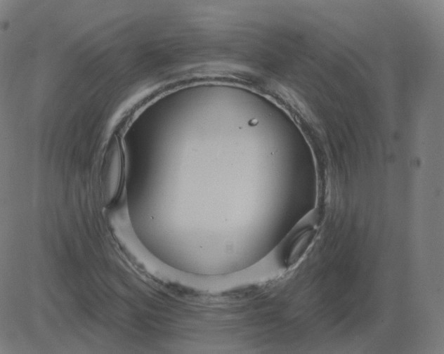 X0000084601164200703091921