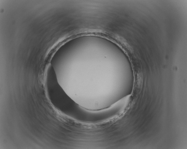 X0000084601165200703091921