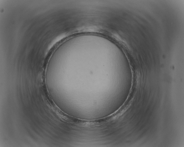 X0000084601166200703091921