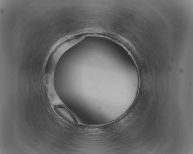 X0000084601168200703091921