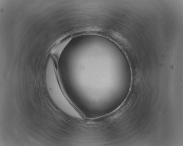 X0000084601169200703091921