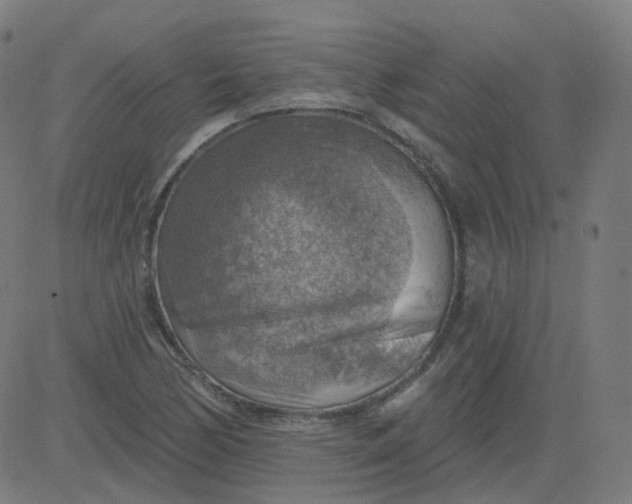 X0000084601170200703091921