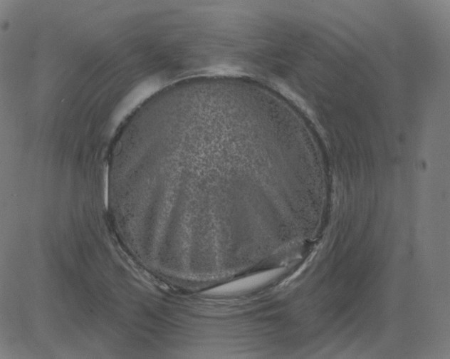 X0000084601171200703091921