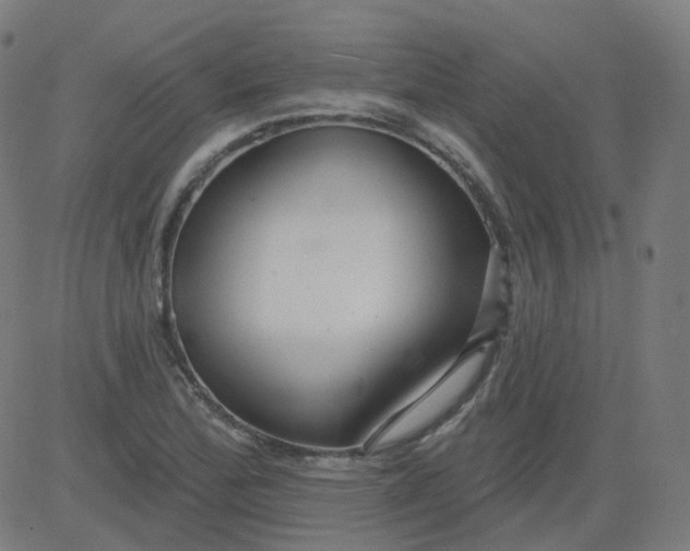 X0000084601172200703091921