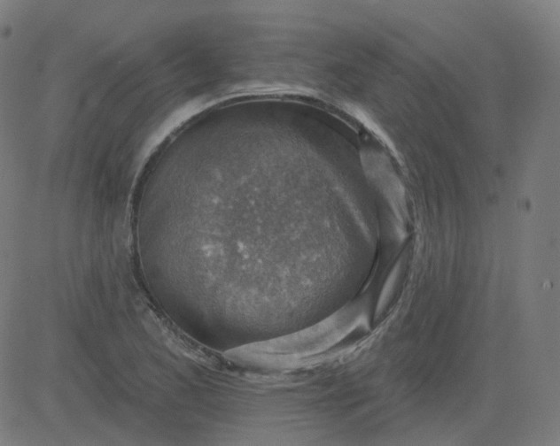 X0000084601173200703091921