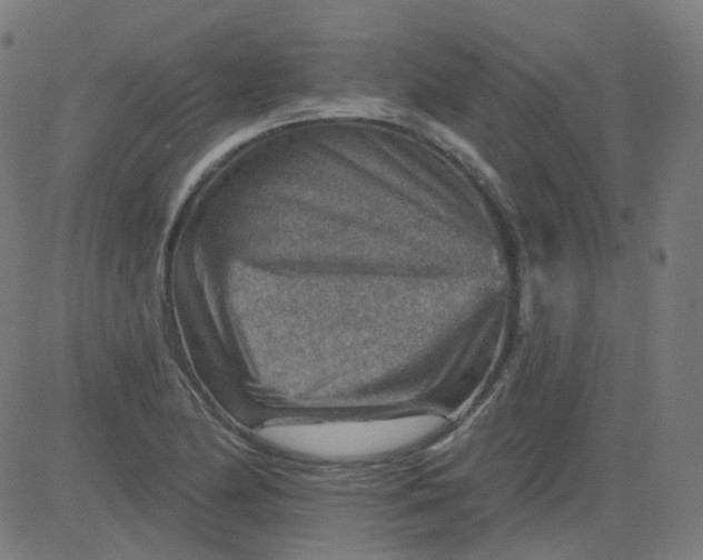 X0000084601174200703091921