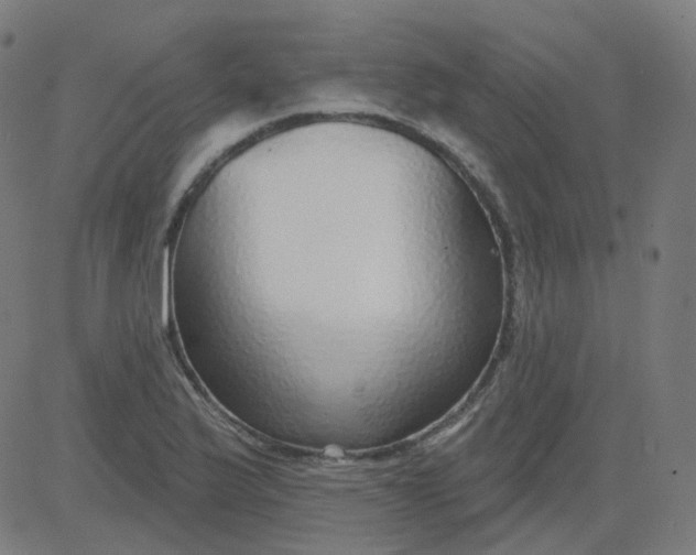 X0000084601175200703091921