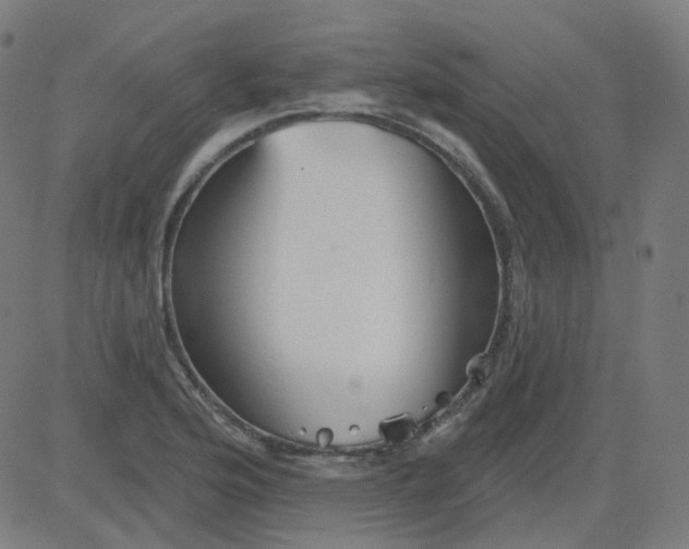 X0000084601176200703091921