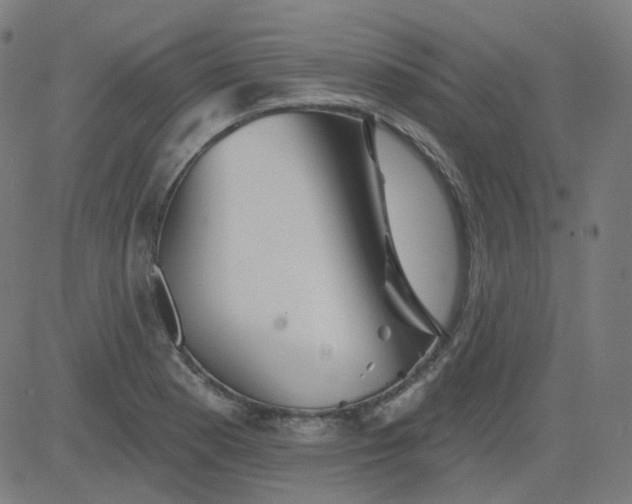 X0000084601177200703091921