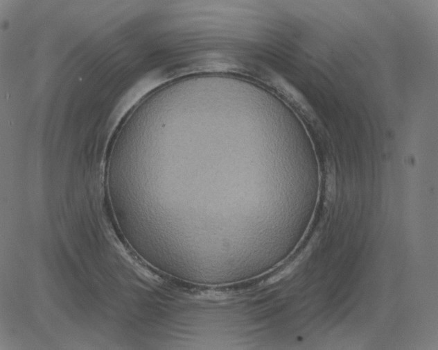 X0000084601178200703091921