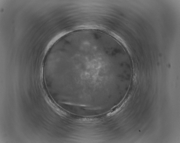 X0000084601179200703091921