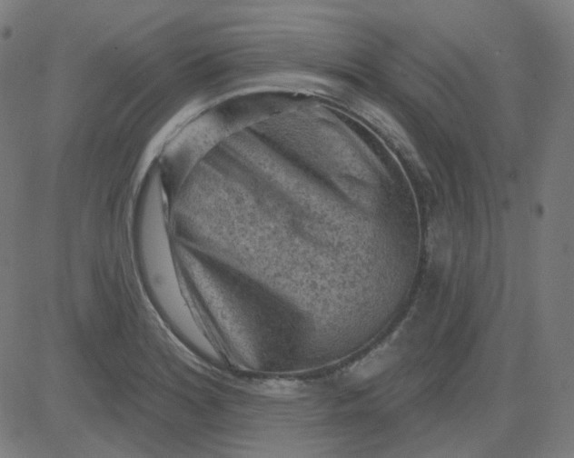 X0000084601180200703091921