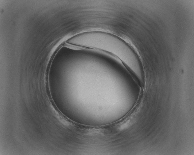 X0000084601181200703091921