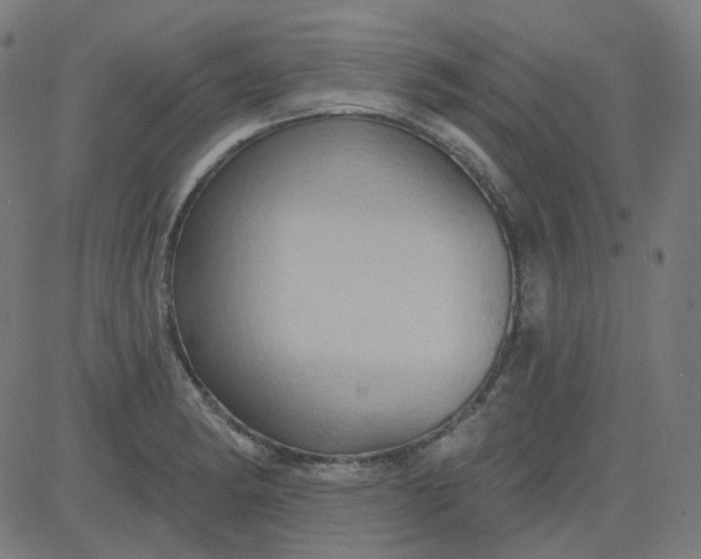 X0000084601182200703091921