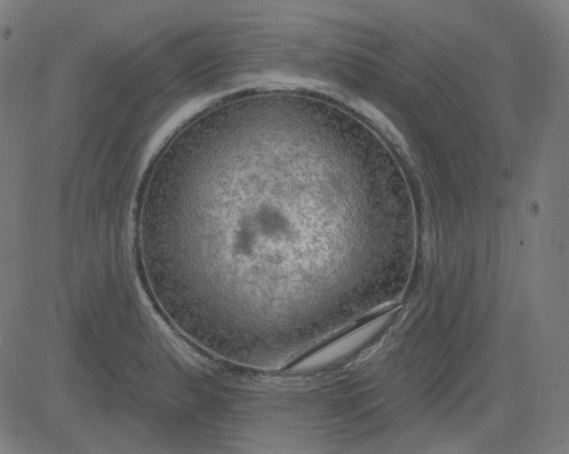 X0000084601183200703091921