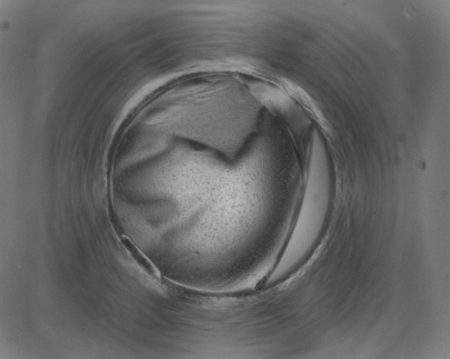 X0000084601184200703091921