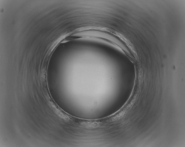 X0000084601185200703091921