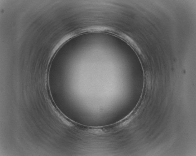 X0000084601186200703091921