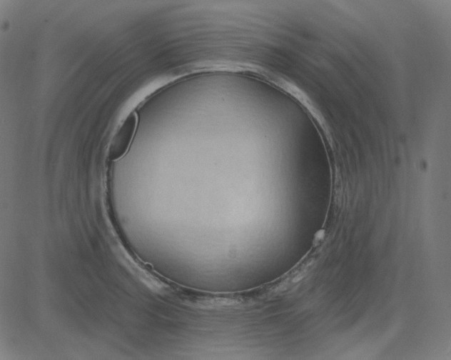 X0000084601187200703091921