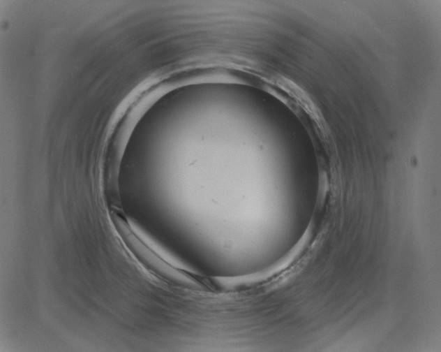 X0000084601188200703091921