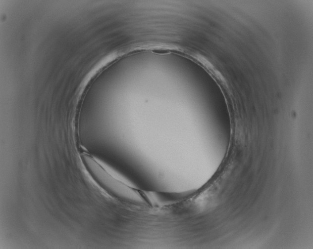 X0000084601189200703091921