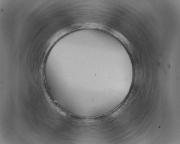 X0000084601190200703091921