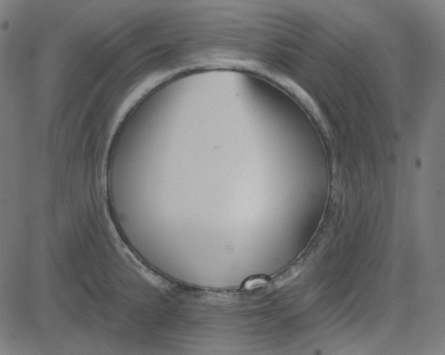 X0000084601191200703091921