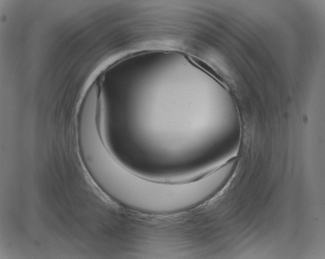 X0000084601192200703091921