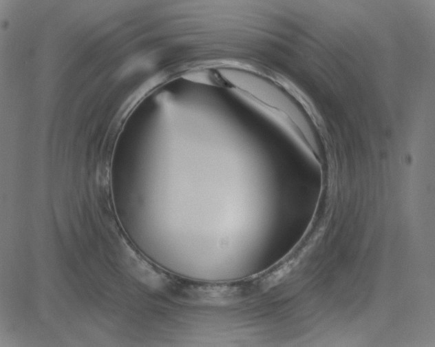 X0000084601193200703091921