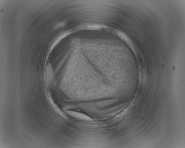 X0000084601194200703091921