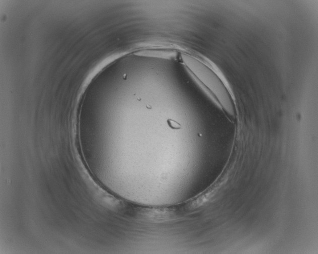 X0000084601195200703091921