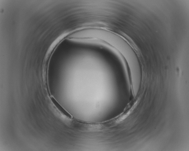 X0000084601196200703091921