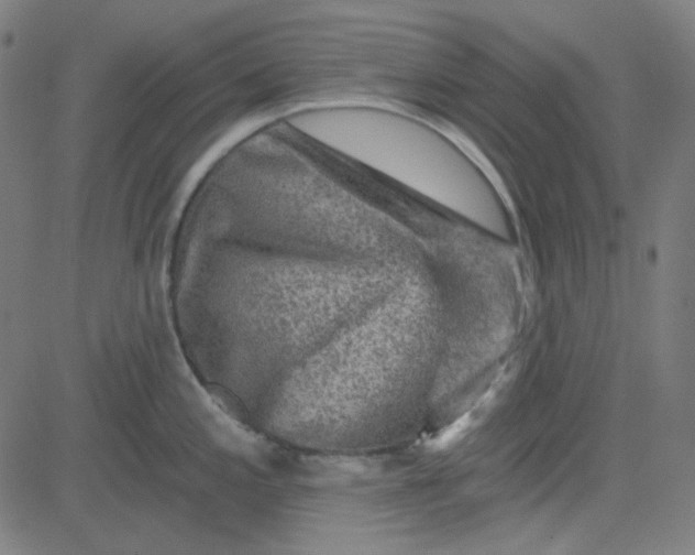 X0000084601197200703091921